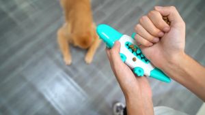 Premium Pet Dog Crocodile Chew Toys Molar Teeth Cleaning Food Dispenser Toys Tough Dog Food Leakage Toothbrush Toys Dog Training For Large Medium Small Dogs Pet Accessories Pet Toy Supplies 狗狗鳄鱼磨牙清洁漏食玩具 - Lazada