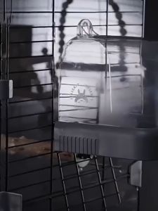 ซื้อ 1 แถม 8 กรงนก กรงนกแก้ว วัสดุหนา ขนาด 28x37x63 cmกรงแฮมสเตอร์ กรงสัตว์เลี้ยง กรงนกเหลี่ยม ถาดสามารถดึงออกมาได้