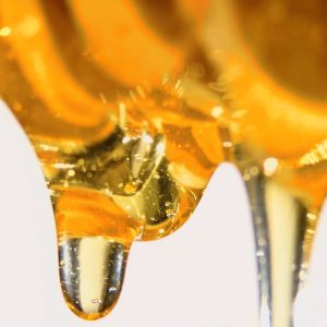 GOLDEN HONEY - Madu Golden Shifa Syifa Honey 500gr (Free 200gr)