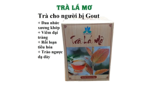 TRÀ LÁ MƠ Hỗ Trợ Gout & Xương Khớp tiêu hóa - Hộp 12 Gói