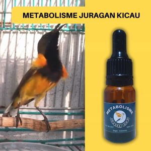 Metabolisme Juragan Kicau Burung Dosis Tinggi Original Biar Gacor dan Sehat