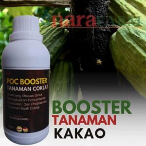 Pupuk pelebat buah kakaoPupuk khusus buah coklatPupuk cair pelebat buah kakaoPupuk buah kakao