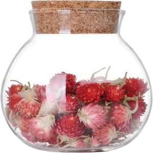 500ml/16.67 oz Empty Clear Round Sealed Glass Jar with Cork Stopper Kitchen Storage Holder Containers Airtight Food Canisters