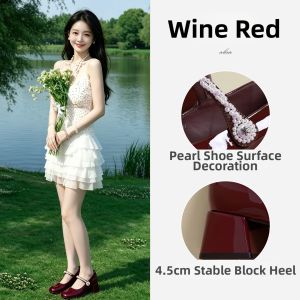 Josiny | Mary Jane French Style Red Vintage Coarse Heel Shoe