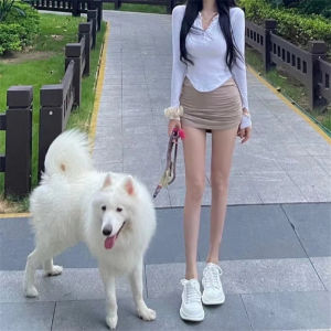 สลิมฟิต เสื้อยืดแขนยาว สีบริสุทธิ์ ยืดได้ กระดุมขึ้น เสื้อท่อนบน สไตล์เกาหลี คอวี ยาวสั้น ผ้าฝ้าย เสื้อเชิ้ต หวาน รสนม