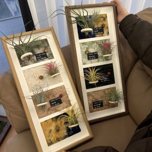 Decorative Pineapple Air Plant Artwork Magnetic Office Living Room Sofa Background Wall Decorations Creative Gifts for Home