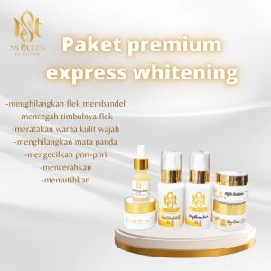 SKINCARE NS QUEEN PAKET PREMIUM PERAWATAN WAJAH