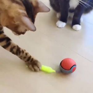 Pet gravity intelligent running car remote control electric cat toy self-entertainment small mouse cat stick cat pet