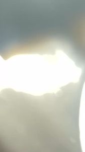 Quạt dàn nóng 24v 27x27cm lực quay mạnh