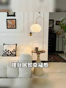 AOMAO | Atmospheric Storage Decorative Floor Lamp