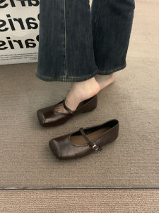 Retro Commuter Flat Shoes Womens Shoes Spring 2025 Square Head French Style for Skirts Evening Small Leather Shoes