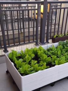 Planter Box Flower Pot Box Large Rectangle Plant Pot Large Outdoor Plastic Flower Pot Rectangular for Vegetables 花盆