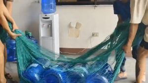 【Free rope】50/100M chicken net free range net chicken fence green net free range chicken net free range net universal net 12 strand bird proof net fighting chicken net outdoor fishing net breeding net【Cold sun aging and corrosion resistance】