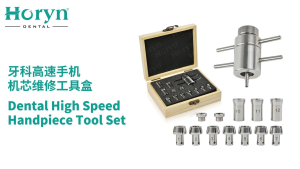 HORYN Dental High-Speed Handpiece Tool Set Stainless Steel Bearing Removal Installation Repair Kit with Wooden Box for Dental Cartridge Maintenance