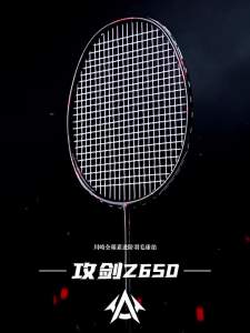 Kawasaki | Adult Professional Durable Carbon Fiber Racket