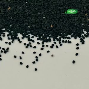 Habbasyifa Oil Isi 60 ml - Minyak Habbasyifa Curah - Habbatussauda Jinten Hitam