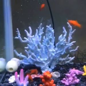Artificial Coral Aquarium Decor DIY Cute Mini Colorful Resin Fish Tank Decoration Small Ornaments Gifts For Kids Friend