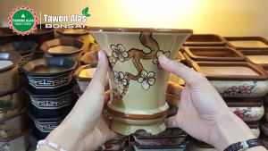 Pot Keramik Bonsai Cascade Tinggi Bundar Ukuran L