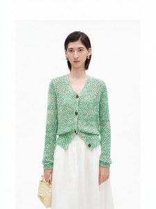 Vintage V-Neck Slim Fit Blouse