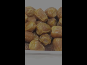 kurma sukari al madinah / kurma impor arab / sukari al madinah / KURMA ELSHANUM II