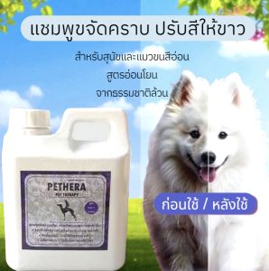ขนาด 1000 ml. แชมพูสุนัขขจัดคราบฉี่ Pethera ขับสีขนให้เงางามสูตรพิเศษสำหรับสุนัขที่มีขนสีขาวหรือทุกสีขน ไม่มีสารกัดหรือฟอกสี
