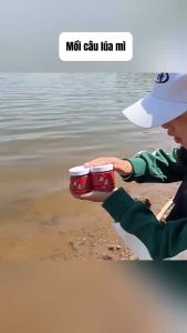 Mồi Câu Cá Dạng Hạt Lúa Mì Huyết Mì Câu TRẮMCHÉPTRÔIDIẾCRÔ PHI - SANAMI FISHING