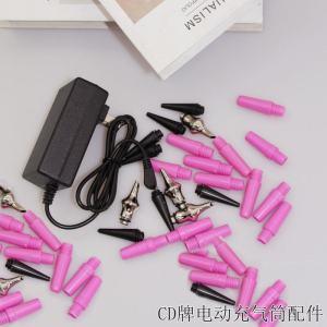 Original Equipment Electric Air Pump Inflator for Balloons CD508 CD607 Lightweight Portable Air Compressor Festive Supplies