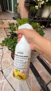 แบ่งจันทร์ อาหารบำรุงดอก 1 ชุดได้แบบสเปรย์500 ml และแบบผสม 1 ลิตร ดอกสวยสดใส กลีบดอกแข็งแรง