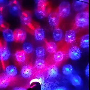inwild | Night Visibility Projector Front & Rear Bike Lights