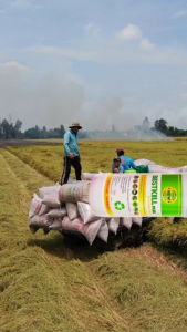 BESTKILL PLUS Organic Pest control - 100% organic for plants