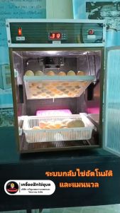 ly เครื่องฟักไข่อุบล รุ่น S802JAE สำหรับ 80 ฟอง มีระบบอุณหภูมินิรภัย