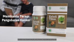 HIU Keladi Tikus Herbal Typhonium flagelliforme Extract untuk Kanker