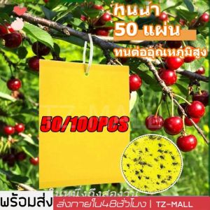 ที่ดักแมลง กาวดักแมลงวัน สองด้าน แผ่นกาวดักแมลง 50/100/200/500แผ่น กับดักแมลงกินผัก เหนียวกับดักแ ดักแมลงศัตรูพืช กับดักแมลงวัน กาวดักแมลง