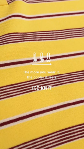 [KOREAN BRAND - VANILLA KNIT] Lulu Stripe Ice Knitted Top – Loose Fit Short Sleeve Retro Korean Style