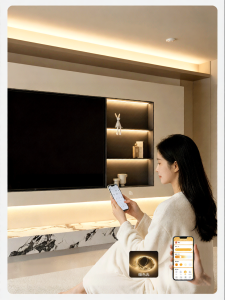 BEIQIVI | Custom Metal Embedded TV Niche Hollow Design