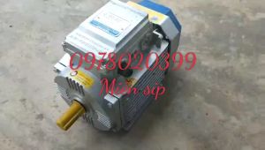Động cơ điện toàn phát 15kw tua chậm