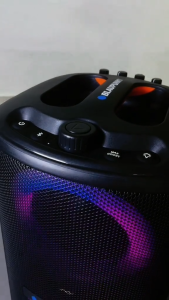 BLAUPUNKT Party Speaker Neon Go+ 40W Bluetooth Speaker with RGB Lights | Wireless Microphone