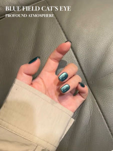 12ML 1-21PCS Starry Sky Sapphire Cat Eye Magnet Gel Nail Polish 2025 New Summer Ice Blue Glass Beads Nail Polish Summer Nails