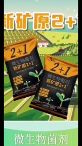 Fulvic Acid Potassium Fertilizer with Bacillus subtilis and 9 EDTA Trace Elements (Co I Mag Co B Mo S nn Zn) for Enhanced Plant Growth"