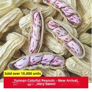 Colorful Wild Shell Peanuts