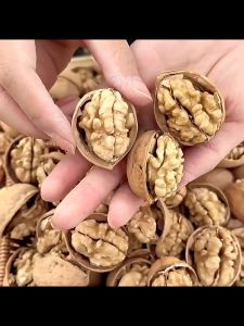 วอลนัท 500 กรัม กระเป๋าเครื่องมือ ถั่ว - ถั่ววอลนัทเปลือกบางทานอร่อย500กรัมราคา