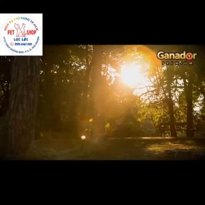 10KG Thức Ăn Hạt Khô Ganador  Đồ Ăn Cho Chó Con/Chó Lớn Cừu  Trứng Sữa  Cá Hồi  Sữa DHA  FIBS  KEOS  Đủ  mùi vị