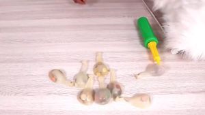 Balon Confetti 11in: Pilihan Tepat untuk Dekorasi Pernikahan & Acara