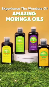 First Vita Plus Amazing Moringa Oils - Dalandan-Moringa Oil Oil of Life Ginger-Lavender Oil Lemongrass Oil - Hydrating Relaxing Cooling Rejuvenating Antibacterial - For Bath & Body Aromatherapy