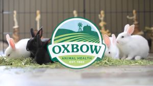 Alfalfa Hay Oxbow 15Oz 425g Cỏ Khô Dành Cho Thú Cưng Gặm Nhấm Thú Nhỏ New Date