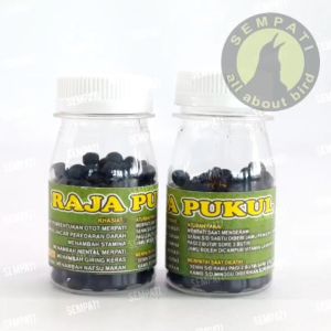 SEMPATI FREE CEPUK SEMPATI 05 Raja Pukul/ Jamu Merpati Balap-Merpati Tinggi/Kolong/Komprangan/Merpati Meja/Bukan Vetafram Pil Merpati Doping Burung Giring Keket VTRPK