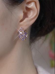 Golden Purple Full Diamond Circle Earrings Womens Accessories Outlet Fashionable Beads/Drill/Flower Accessories