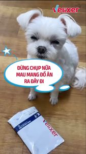(SALE LỚN MUA 2 GIẢM 5%) VELIXER - Hạt thức ăn chức năng hỗ trợ trong quá trình điều trị dành cho chó nhập Hàn Quốc chính hãng