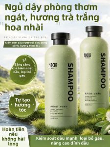 SOCUS | Dandruff Control Itchy Scalp Anti-Oil Shampoo Volume