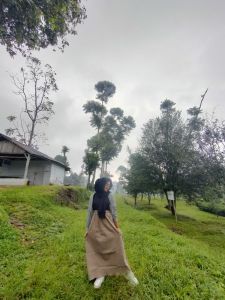 Rok Cargo Skirt Rok Cargo Wanita Korean Style Twill Combed Premium